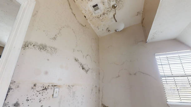 Best Indoor Air Quality Assessment  in Gretna, NE
