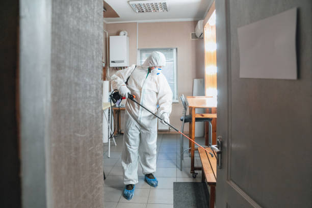Best Mold Damage Restoration  in Gretna, NE