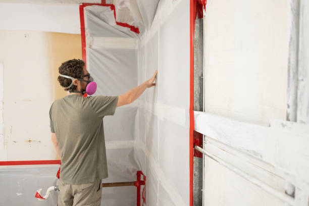 Best Mold Remediation for Healthcare Facilities  in Gretna, NE