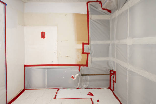 Best Emergency Mold Remediation  in Gretna, NE