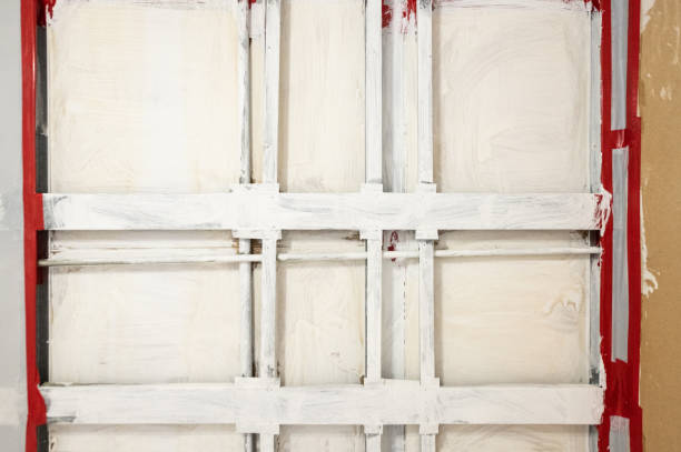 Best Forensic Mold Investigation  in Gretna, NE