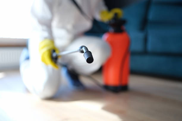 Best Dehumidification Services  in Gretna, NE