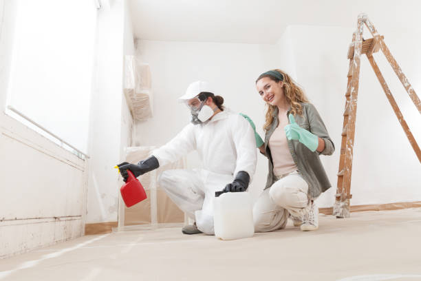 Best Asbestos and Lead Testing During Mold Inspection  in Gretna, NE