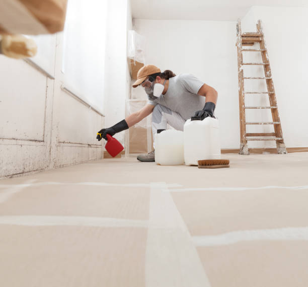 Best Mold-Related Health Consultation  in Gretna, NE
